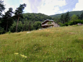 Guesthouse Gama in Khevsureti